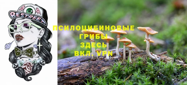 гашик Беломорск