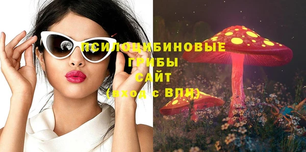 гашик Беломорск